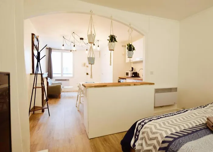 Cozy Studio@place Des Vosges 파리