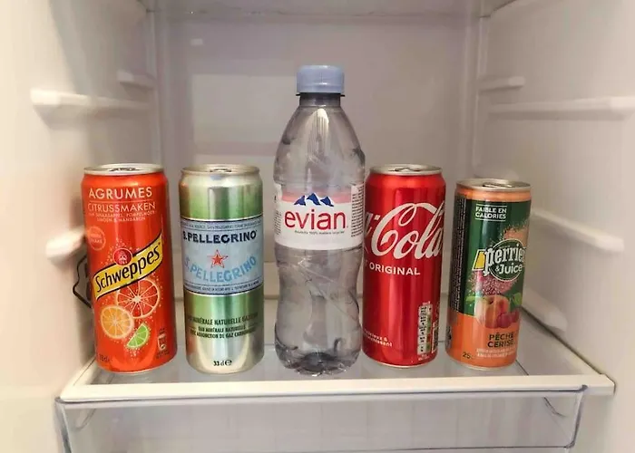 Cozy Studio@place Des Vosges Paris